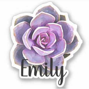 Aufkleber für den Kaktus