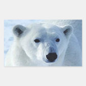 Aufkleber für den Polar-Bär (Vorderseite)