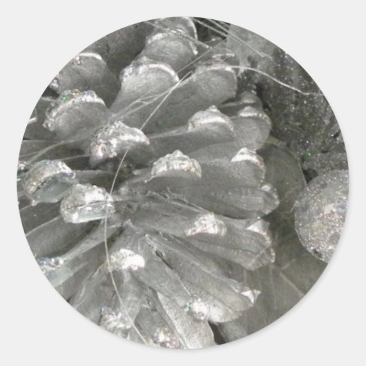 Aufkleber für den Silberkiefer (Vorderseite)