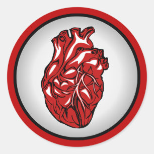 Aufkleber für die Anatomie des roten Blutes