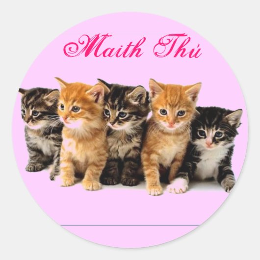 Aufkleber für die Belohnung in irischer Sprache (Vorderseite)