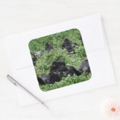 Aufkleber für die Berggorilla-Gruppe (Umschlag)