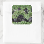 Aufkleber für die Berggorilla-Gruppe (Tasche)