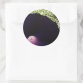 Aufkleber für die Blume des lila Morgens (Tasche)