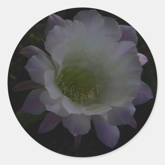Aufkleber für die Blume lila (Vorderseite)