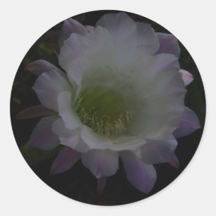 Aufkleber für die Blume lila