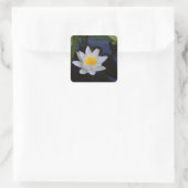 Aufkleber für die Blume White Lotus (Tasche)