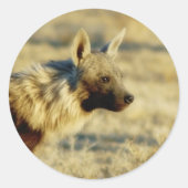 Aufkleber für die Braunen Hyena (Vorderseite)