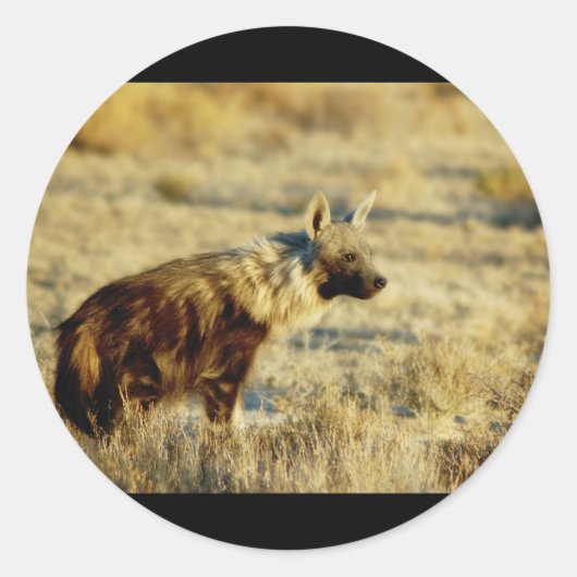 Aufkleber für die Braunen Hyena (Vorderseite)