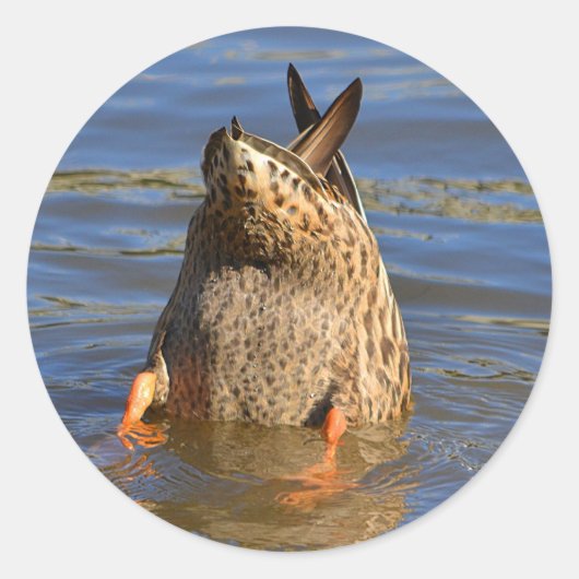 Aufkleber für die Fäden (Vorderseite)