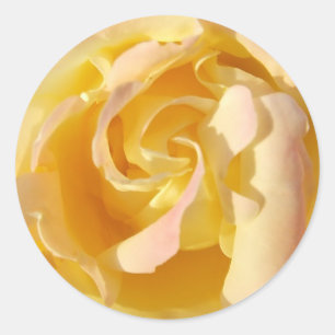 Aufkleber für die gelbe Rose-Blume