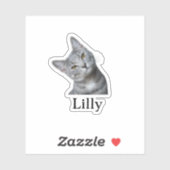 Aufkleber für die Haustiere, Aufkleber für den eig (Blatt)