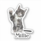 Aufkleber für die Haustiere, Aufkleber für den eig (Vorderseite)