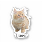 Aufkleber für die Haustiere, Aufkleber für den eig (Vorderseite)