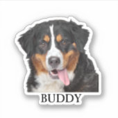 Aufkleber für die Haustiere, Aufkleber für den eig (Vorderseite)