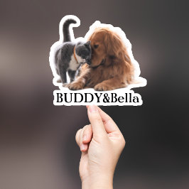 Aufkleber für die Haustiere, Aufkleber für den eig