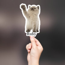 Aufkleber für die Haustiere, Aufkleber für den eig