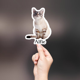 Aufkleber für die Haustiere, Aufkleber für den eig