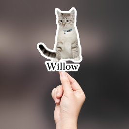 Aufkleber für die Haustiere, Aufkleber für den eig