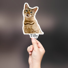 Aufkleber für die Haustiere, Aufkleber für den eig