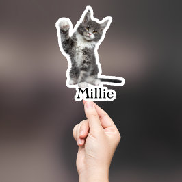 Aufkleber für die Haustiere, Aufkleber für den eig