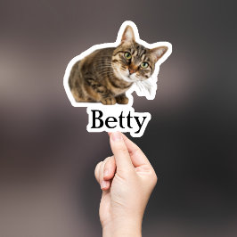 Aufkleber für die Haustiere, Aufkleber für den eig