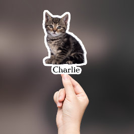 Aufkleber für die Haustiere, Aufkleber für den eig