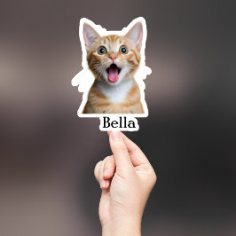 Aufkleber für die Haustiere, Aufkleber für den eig