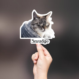 Aufkleber für die Haustiere, Aufkleber für den eig