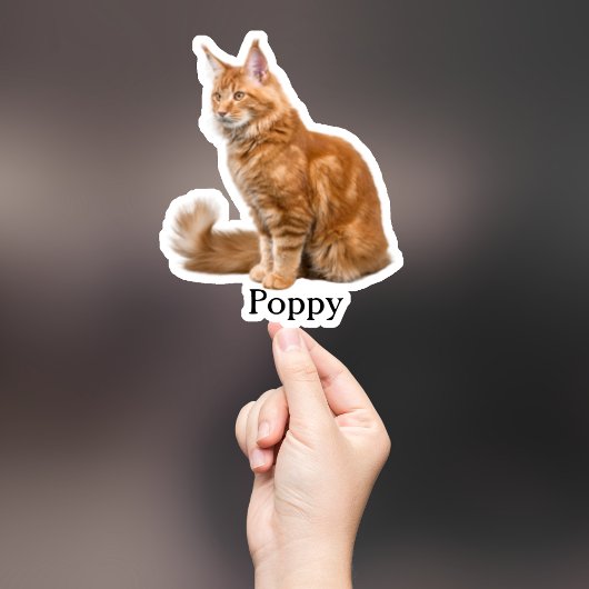 Aufkleber für die Haustiere, Aufkleber für den eig