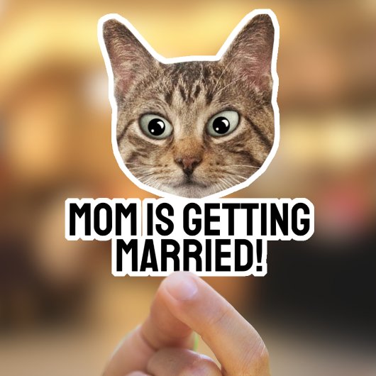 Aufkleber für die Katzenaufkleber für benutzerdefi