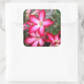 Aufkleber für die Rose der Wüste (Tasche)