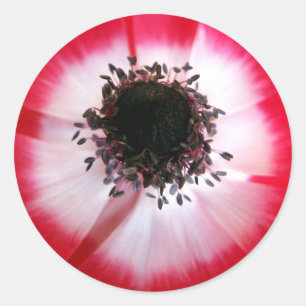 Aufkleber für die rote Blume