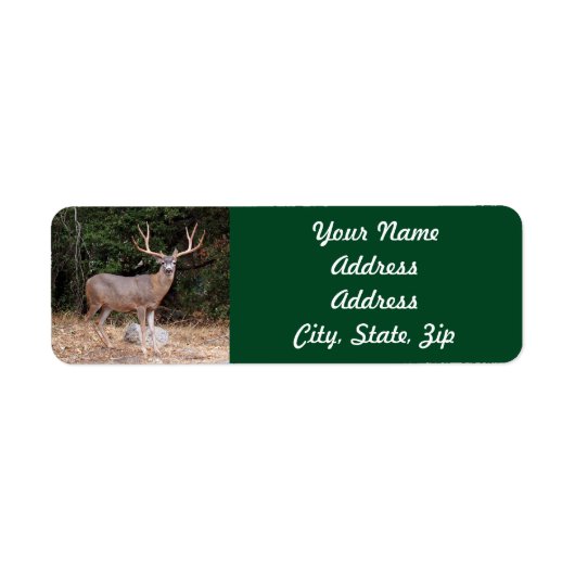 Aufkleber für die Rücksendeadresse (Vorne)