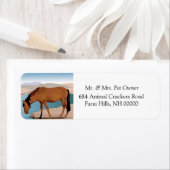 Aufkleber für die Rücksendeadresse des Wildpferdes (Insitu)