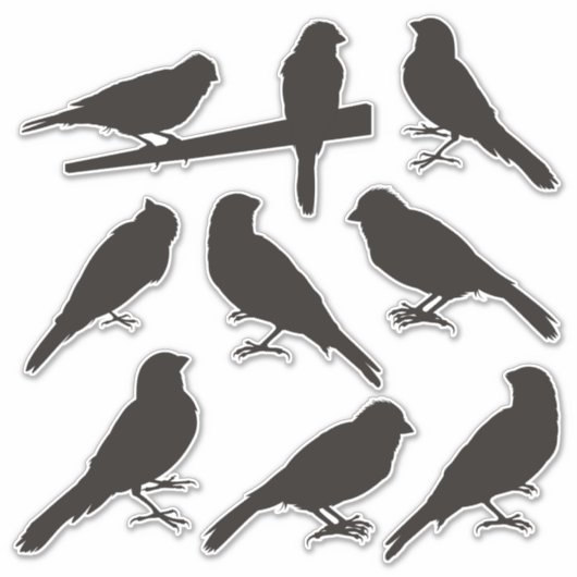Aufkleber für die Silhouette Canary Bird (Vorderseite)
