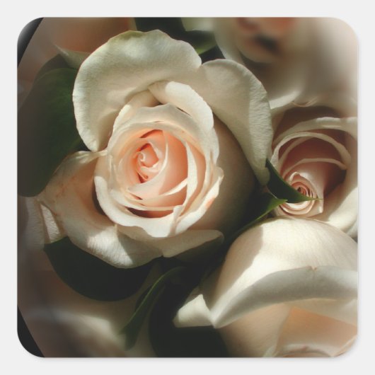 Aufkleber für die Soft-Rose (Vorderseite)