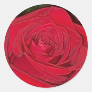 Aufkleber für die strahlende Rote Rose