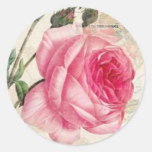 Aufkleber für die Vintage Rose in Rosa