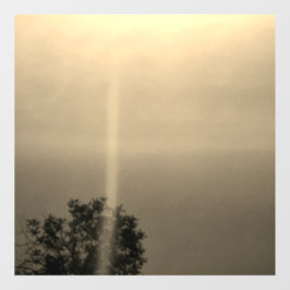 Aufkleber für die Wand coole Öko