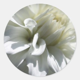 Aufkleber für die weiße Blume