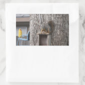 Aufkleber für Eichhörnchen (Tasche)