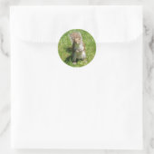 Aufkleber für Eichhörnchen (Tasche)