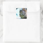 Aufkleber für Eichhörnchen (Tasche)