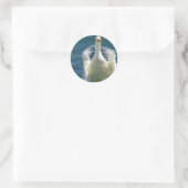 Aufkleber für Entenklatschen (Tasche)