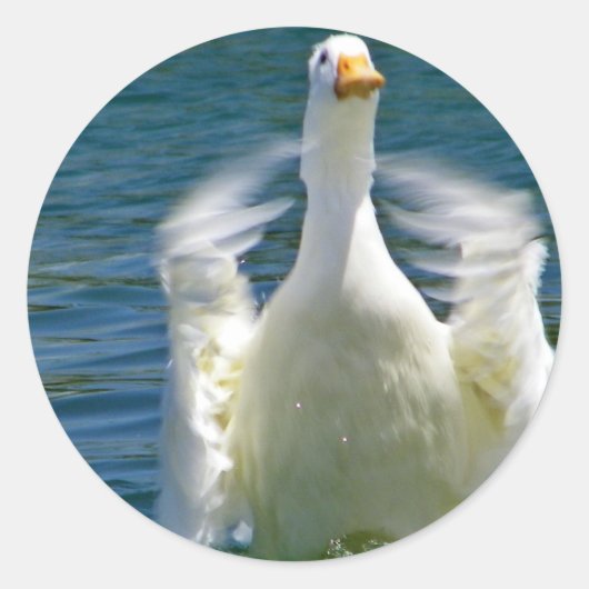 Aufkleber für Entenklatschen (Vorderseite)