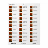 Aufkleber für Foliage-Foto (Vorne)