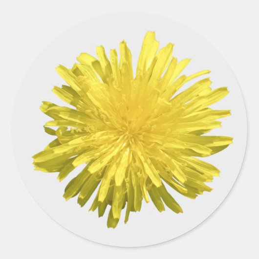 Aufkleber für gelbe Lüster (Vorderseite)