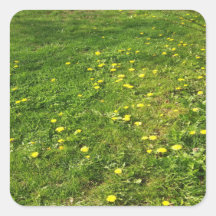 Aufkleber für Gras und Dandelion