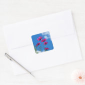 Aufkleber für große rosa Blume (Umschlag)